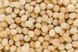 Macadamia Noten
